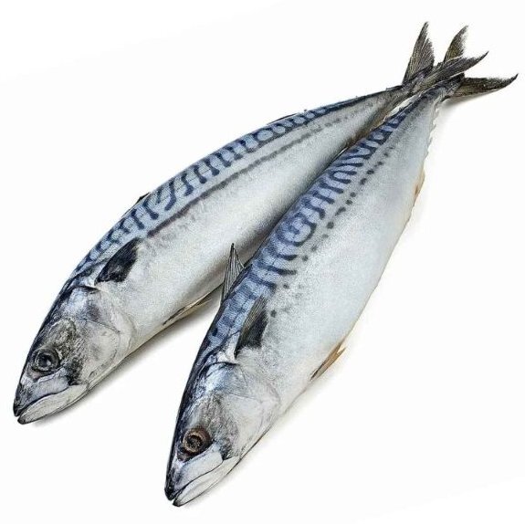 Скумбрия в масле