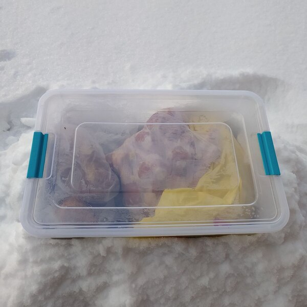 Хранение продуктов в снегу