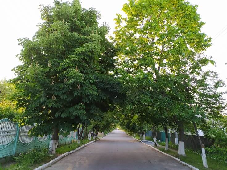 Дома престарелых