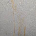 ��� �������� ���� �� ������