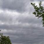 Конфликты