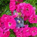 Lanvin Éclat d`Arpège Eau de Parfum